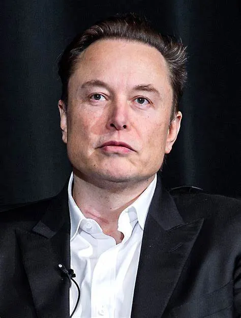 Wealth of Elon Musk - Wikipedia